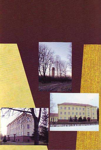 Autobiografinio pobūdžio atsiminimų
                          knyga